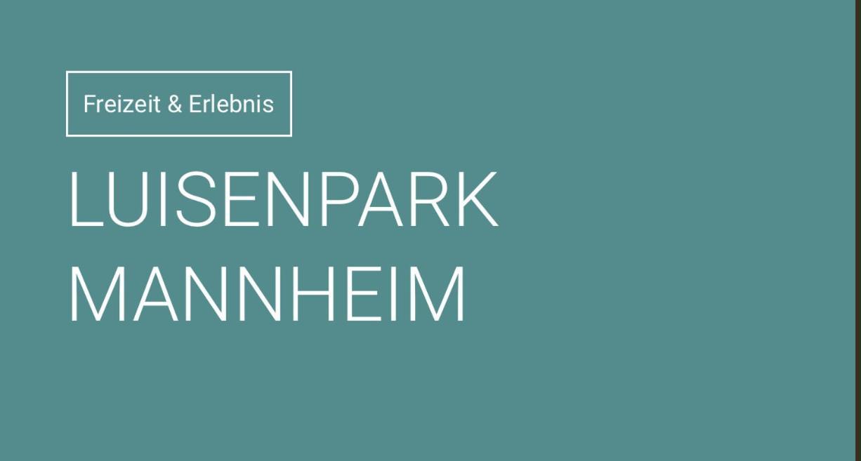 Apartment Zum Sterngaesschen Ludwigshafen am Rhein